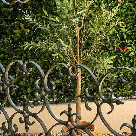 Daire Garden Spot Chic Stay, Jacuzzi, Bbq & Parking Cagnes-sur-Mer